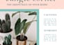 do a beautiful professional layout guide in indesign